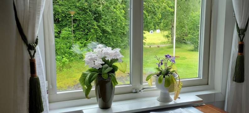 维拉埃克加登(Villa Ekegården)图片