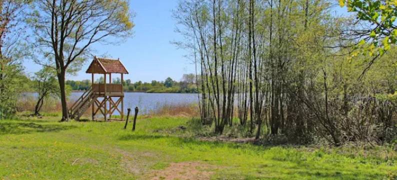 迷人邻里的公寓(Elegant Apartment, Grevesmühlen)图片