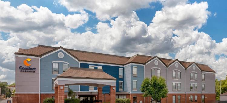 阿维烟酒店(Comfort Inn & Suites)图片