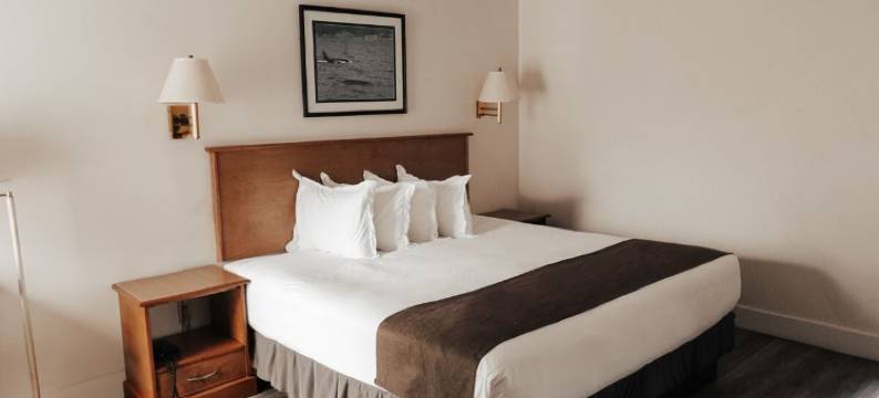 德利福特伍德旅馆(Driftwood Inn)图片