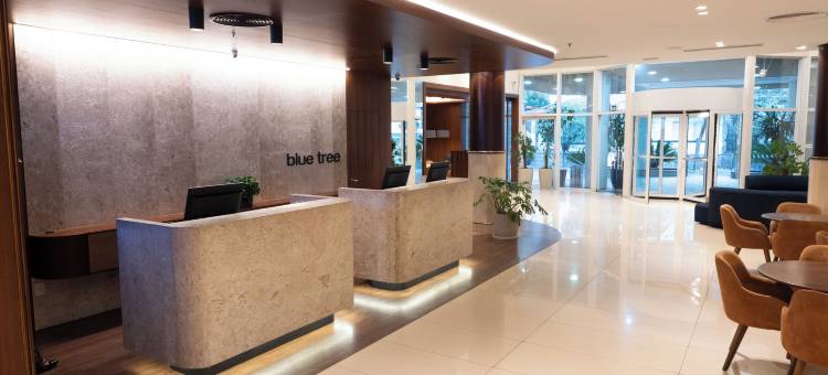 蓝树塔南卡希亚斯酒店(Blue Tree Towers Caxias do Sul)图片