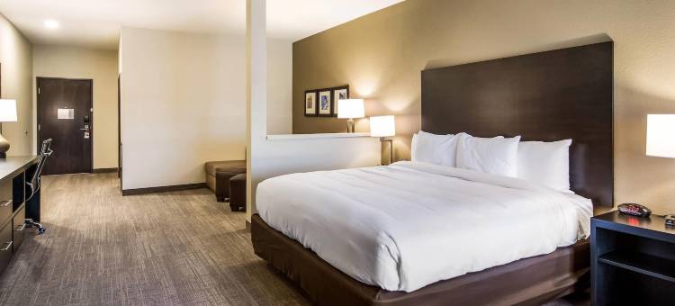 康福特套房布伦瑞克镇中心(Comfort Suites Brunswick Town Center)图片