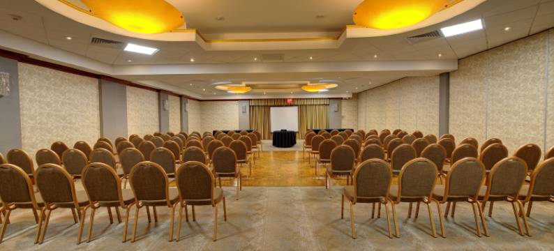 Holiday Inn 纽约普莱恩维尤的长岛(Holiday Inn PLAINVIEW-LONG ISLAND by IHG)图片