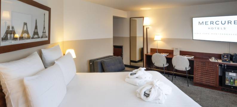 美居巴黎蒙帕纳斯高铁站酒店(Mercure Paris Gare Montparnasse TGV)图片