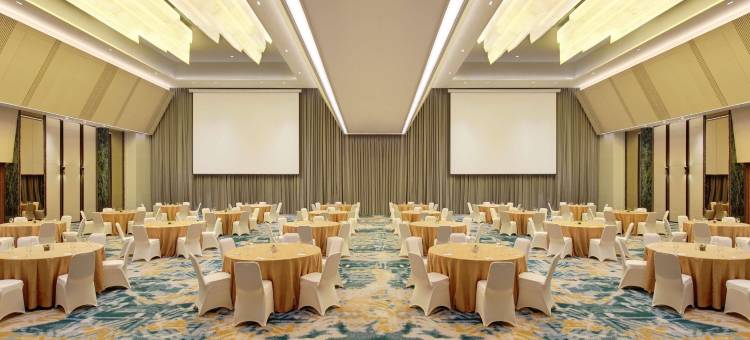 邦卡兰班美居酒店(Mercure Pangkalan Bun)图片