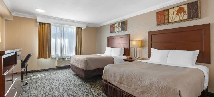 凯艺会议中心酒店(Quality Inn & Conference Centre)图片