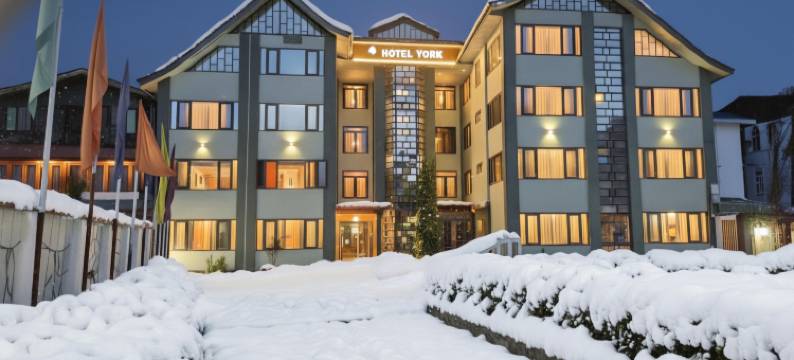 约克酒店(Hotel York (5 Mins Walk to Dal Lake))图片