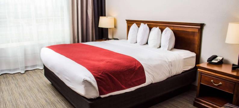 温彻斯特丽怡酒店(Country Inn & Suites by Radisson, Winchester, VA)图片