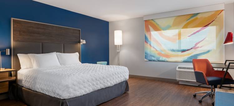 Tru by Hilton 巴特尔克里克(Tru by Hilton Battle Creek)图片