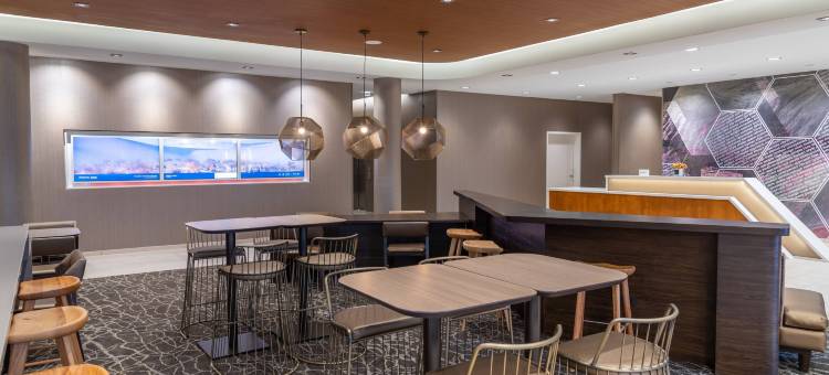 欧弗兰帕克利伍德SpringHill Suites酒店(SpringHill Suites Overland Park Leawood)图片