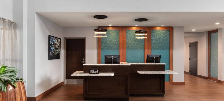 泰克里帕默@I-35Homewood Suites by Hilton(Homewood Suites by Hilton TechRidge Parmer @ I-35)图片