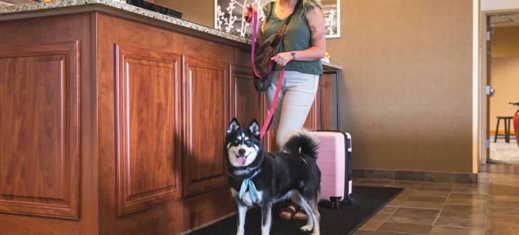 舒眠套房会议中心欧克莱尔北(Sleep Inn & Suites Conference Center Eau Claire North)图片