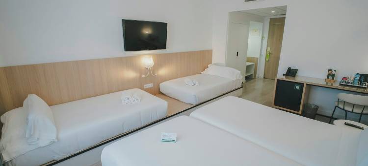 塞尔科蒂尔卡洛斯三世酒店(Sercotel Carlos III)图片