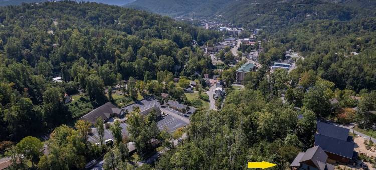 全新豪华四间特大床套房，带游戏室、热水浴缸和美景(New Lux 4 King Suites | GameRm | Hot Tub | Views)图片