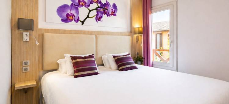 FH舒适酒店竞技场(FH Confort Hotel Orléans Co'Met)图片