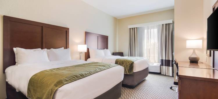 舒适套房酒店(Comfort Inn & Suites)图片