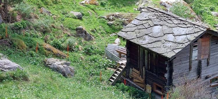 阿尔卑斯玫瑰民宿(B&B Alpenrösli)图片