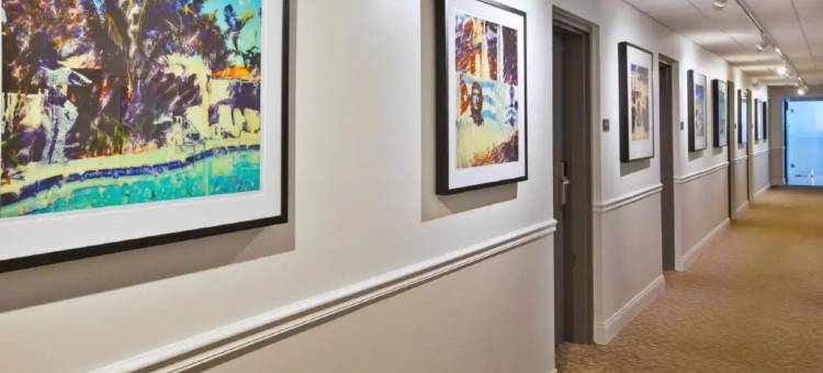 芝加哥West Loop，贝斯特韦斯特SureStay精选酒店(Hotel Chicago West Loop, SureStay Collection by Best Western)图片