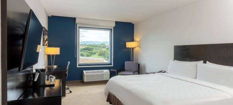 马那瓜智选假日酒店(Holiday Inn Express MANAGUA by IHG)图片