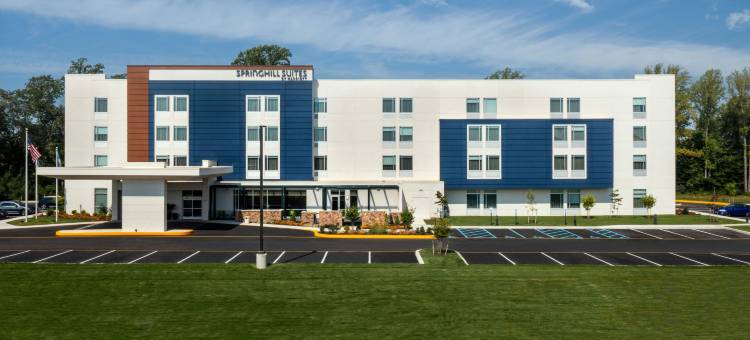 弗雷德里卡SpringHill Suites酒店(SpringHill Suites Frederica)图片
