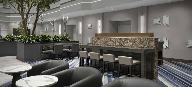 达拉斯希尔顿安泊套房酒店-近商业街廊(Embassy Suites by Hilton Dallas Near the Galleria)图片