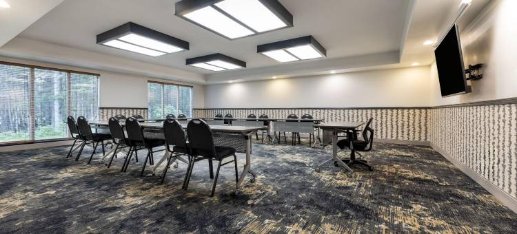 桑德贝戴斯套房酒店(Days Inn & Suites by Wyndham Thunder Bay)图片