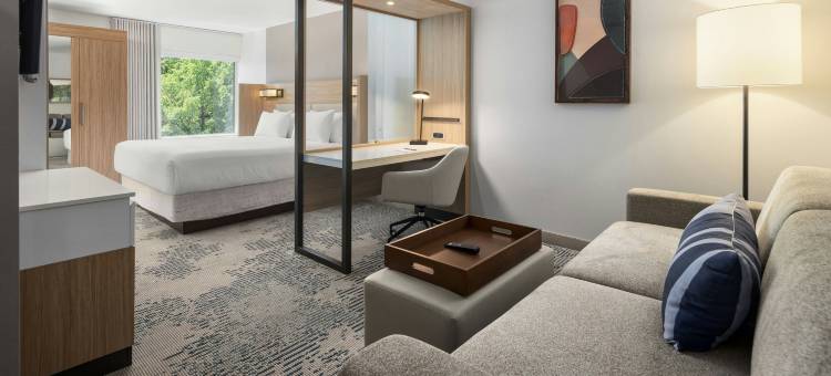 麦迪逊菲奇堡SpringHill Suites酒店(SpringHill Suites by Marriott Madison Fitchburg)图片