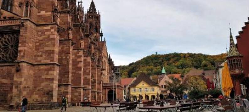 弗莱堡公寓酒店(Apart Hotel Freiburg)图片