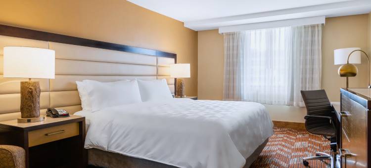 格林斯伯勒机场假日酒店(DoubleTree by Hilton Greensboro Airport)图片