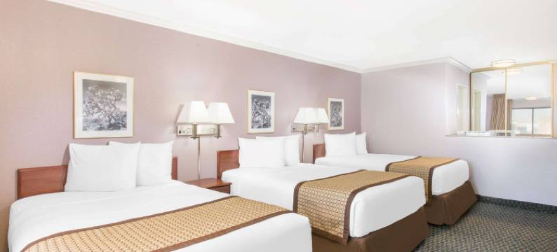 印地欧温德姆戴斯酒店(Days Inn by Wyndham Indio)图片