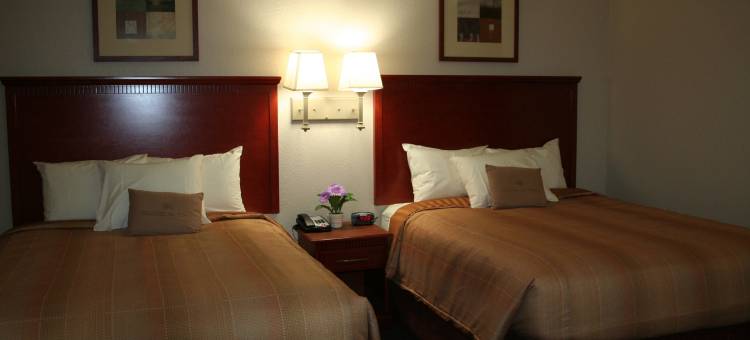 Candlewood Suites 埃文代尔区- 新奥尔良(Candlewood Suites Avondale-New Orleans)图片