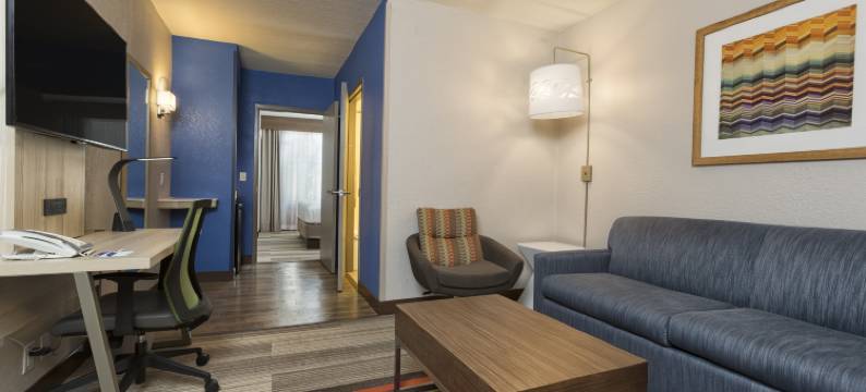 布纳湖南维斯塔智选假日套房酒店(Holiday Inn Express & Suites S LAKE BUENA VISTA by IHG)图片