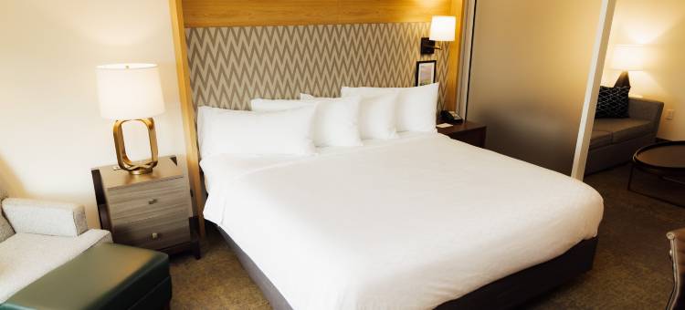 霍普金斯维尔会议中心假日套房酒店(Holiday Inn & Suites Hopkinsville - Convention Ctr)图片