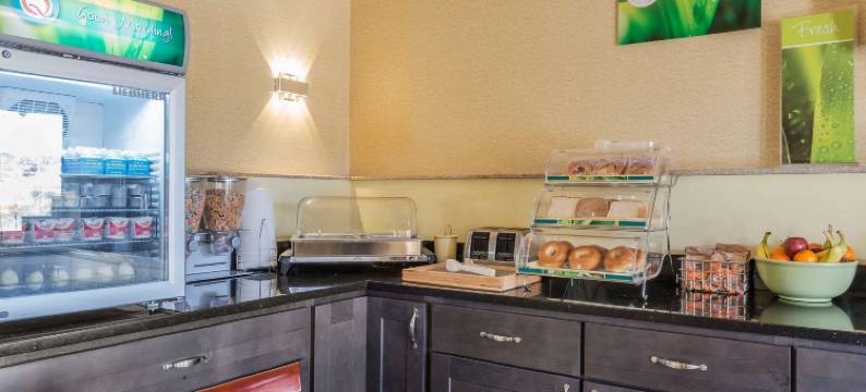 凯艺套房酒店(Quality Inn & Suites)图片