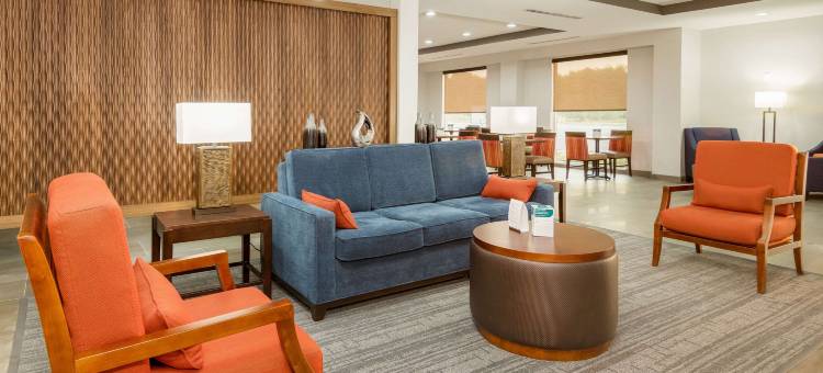 迪索托-达拉斯南舒适套房酒店(Comfort Suites DeSoto Dallas South)图片