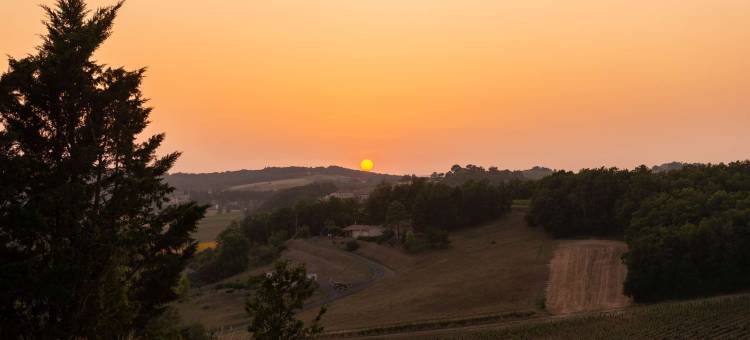 陶兹城堡原生酒店(Château de Tauzies, the Originals Relais)图片