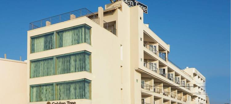 金树酒店(Hotel Golden Tree)图片