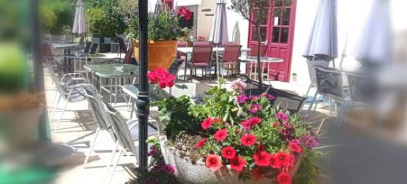 Logis Hôtel-Restaurant la Sapinière图片