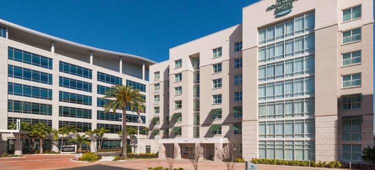 希尔顿坦帕机场-西岸家木套房酒店(Homewood Suites by Hilton Tampa Airport-Westshore)图片