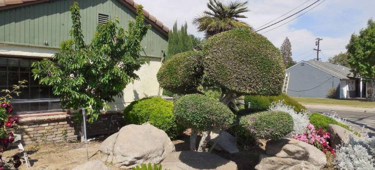 费尔布里奇套房酒店-默塞德-通往优胜美地(FairBridge Inn & Suites Gateway to Yosemite)图片