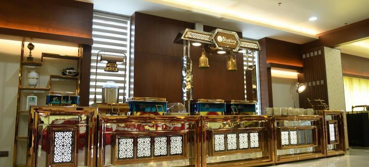 布鲁艾维酒店(Hotel Blueivy Anand)图片