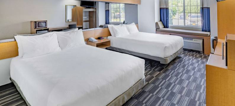 普拉茨堡镇麦客达温德姆酒店(Microtel Inn & Suites by Wyndham Plattsburgh)图片