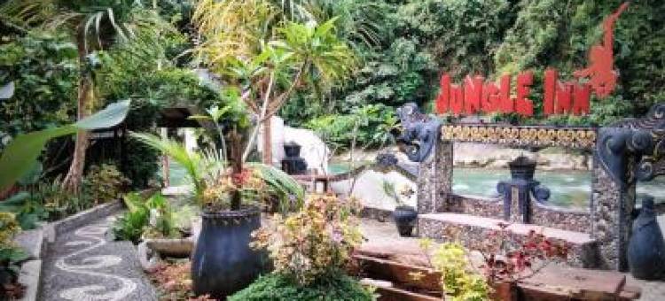 Jungle Inn Bukit Lawang图片