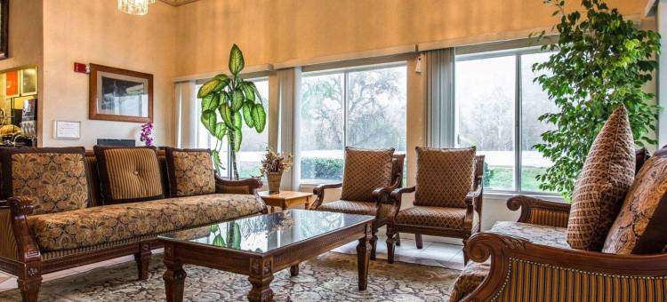 红杉国王峡谷舒适套房酒店(Comfort Inn & Suites Sequoia Kings Canyon)图片