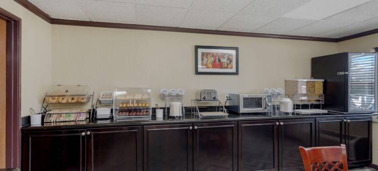 纳什维尔/布伦特伍德贝蒙特旅馆套房酒店(Comfort Inn & Suites)图片