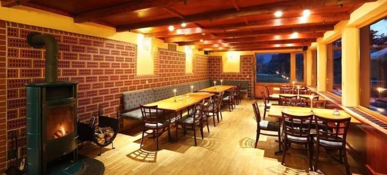 奥斯特鲁夫皮特劳恩酒店(Hotel Ostrov)图片