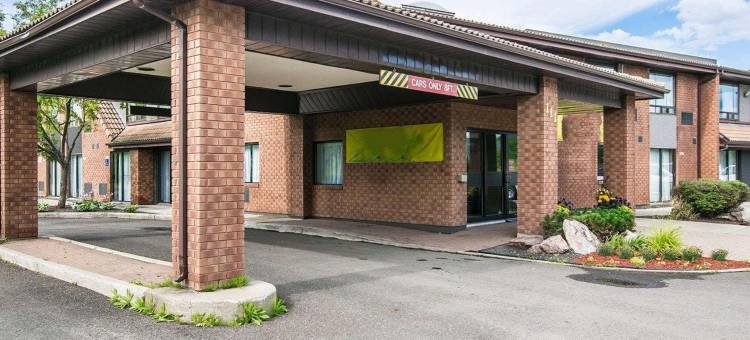 舒适酒店(Comfort Inn)图片