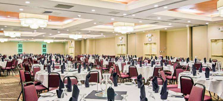 罗阿诺克假日酒店 - 坦格乌德路线419及581(Holiday Inn Roanoke-Tanglewood-RT 419&I581)图片