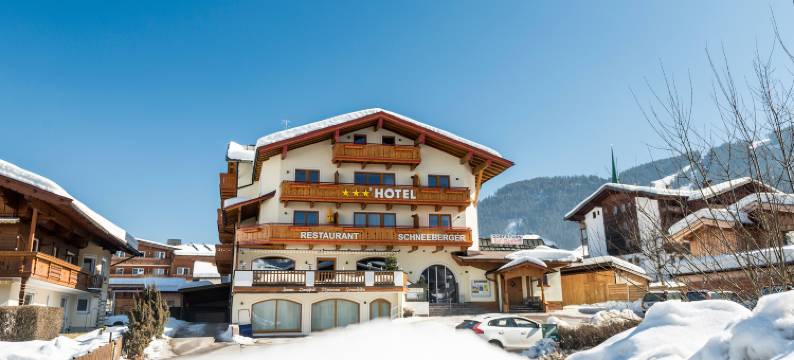 施内贝格酒店(Hotel Schneeberger)图片