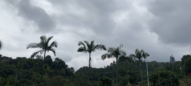 潘敏公寓(明月路分店)图片